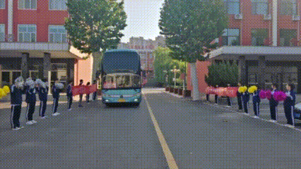 动图.gif
