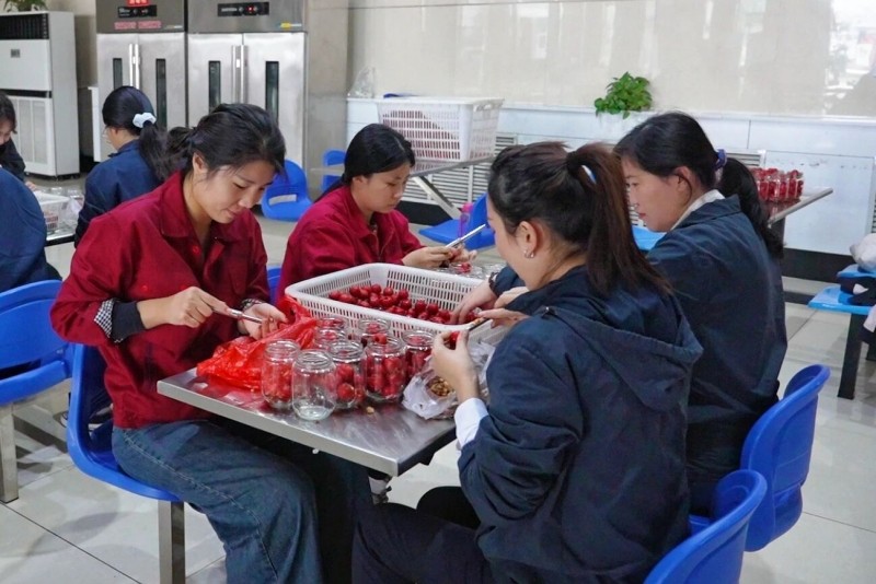 DM_20260227114046_001