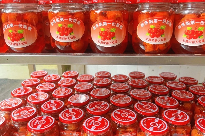 DM_20260227114213_001