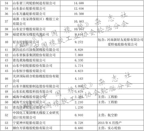 轮胎,排名