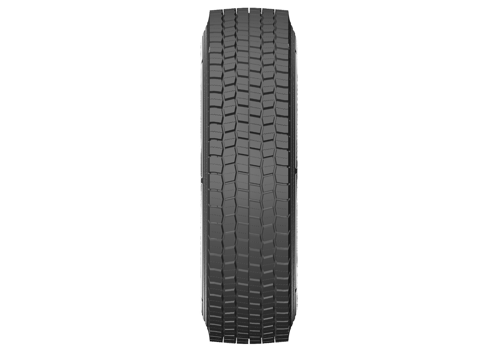 295[80R22