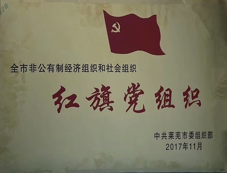 红旗党组织