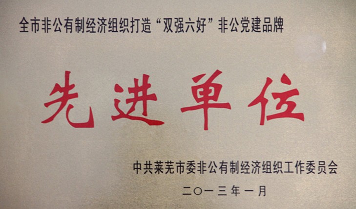 双强六好先进单位