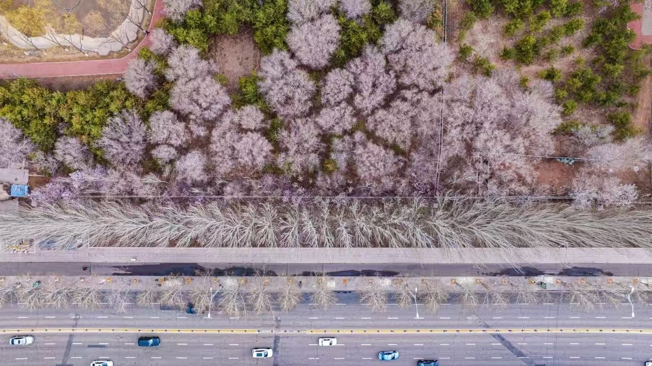微信图片_20250408155655