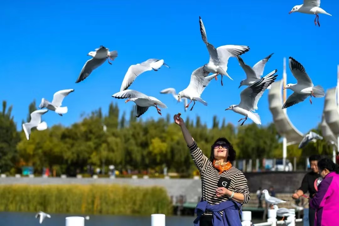 微信图片_20250408160116