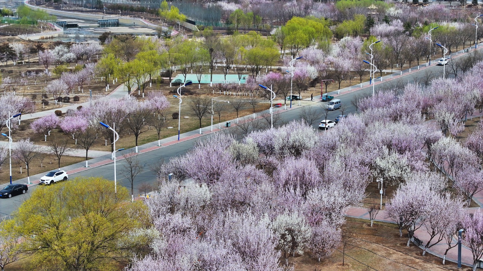 DJI_20250410112430_0(4316040)-20250413081144
