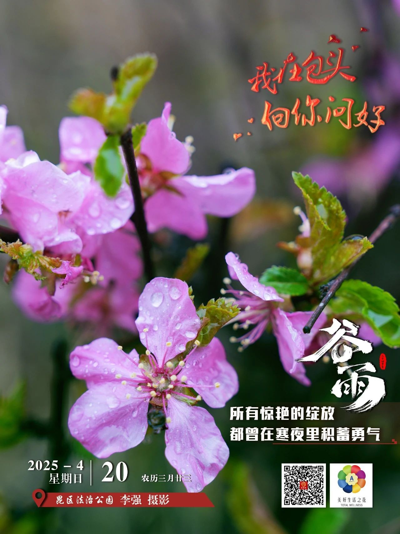 微信图片_20250420074154