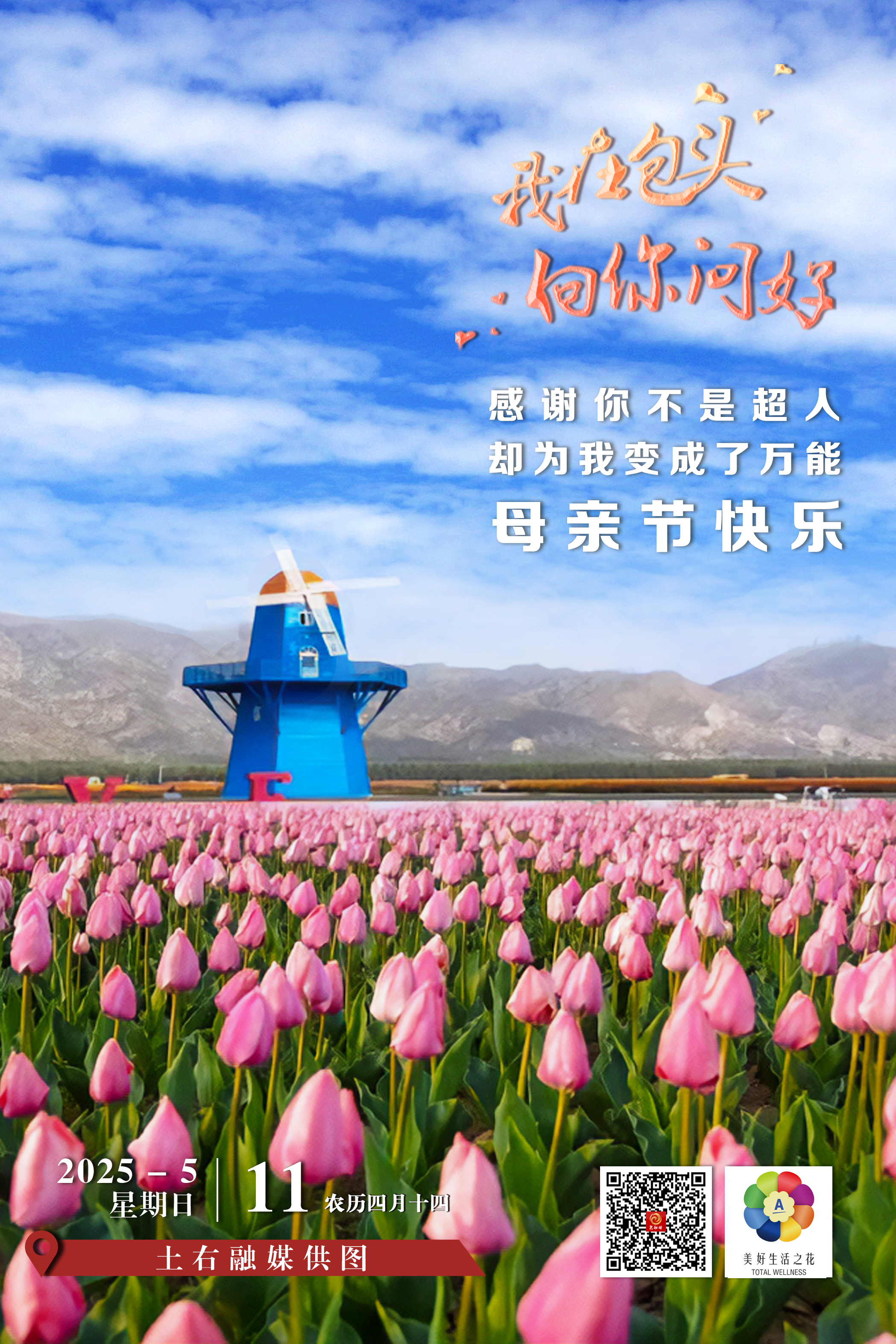 微信图片_20250511060249