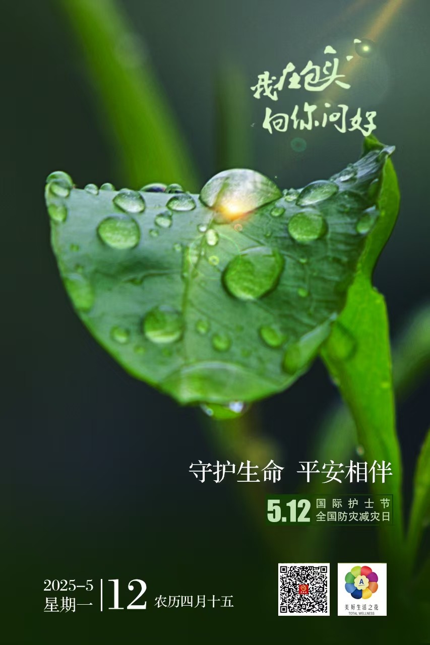 海报