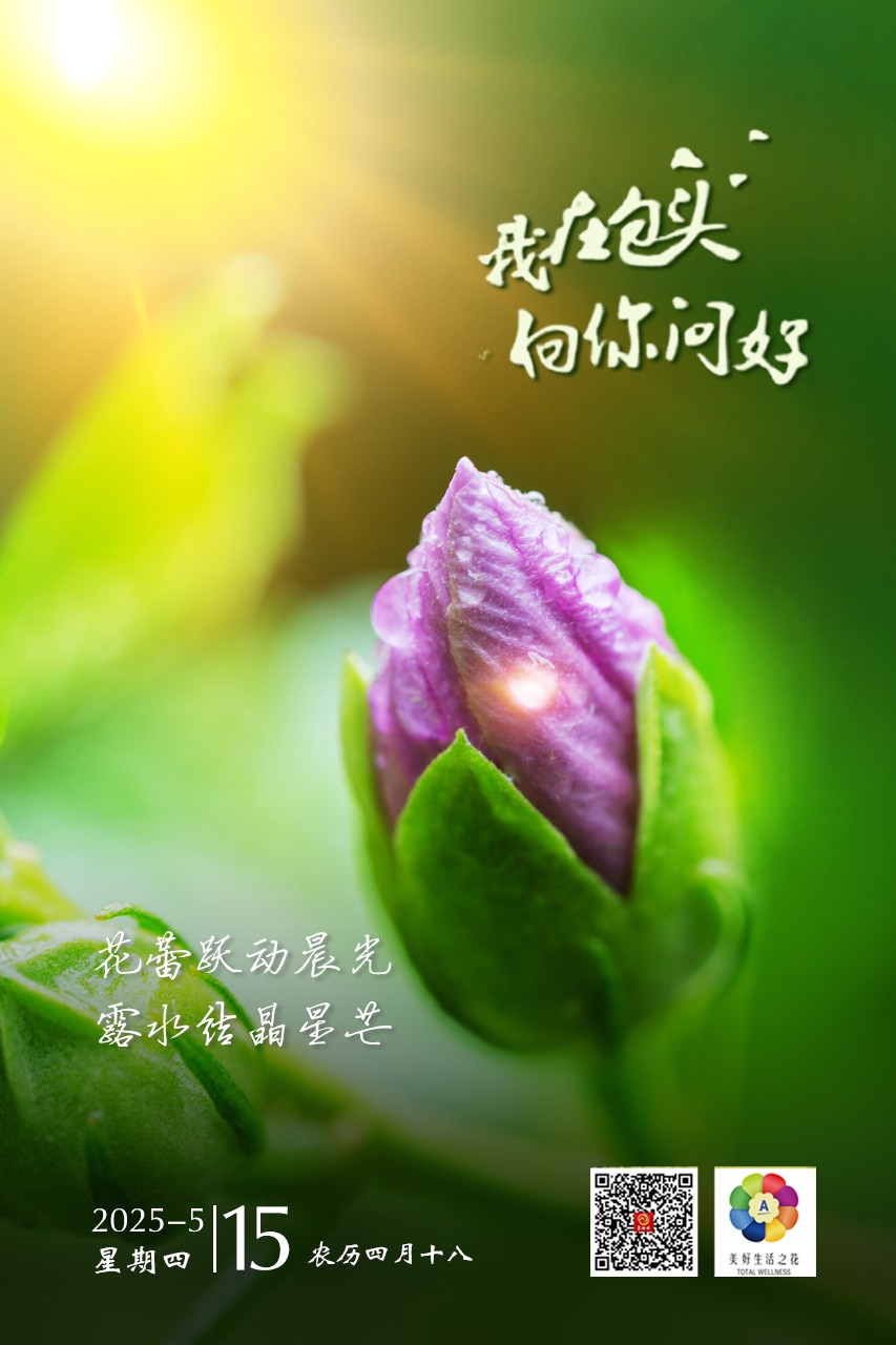 微信图片_20250514201426