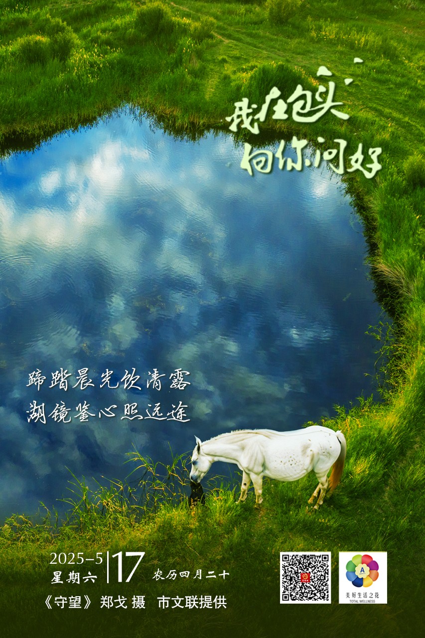 海报