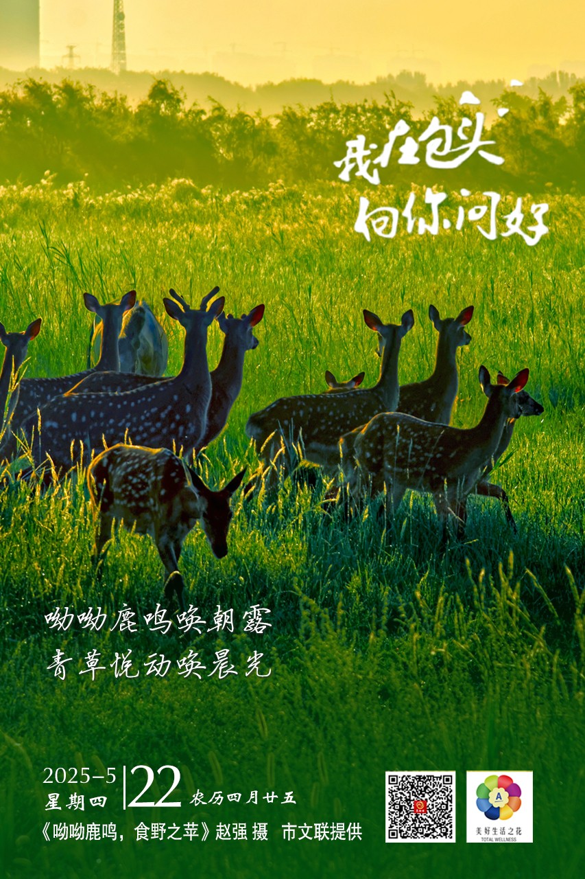 微信图片_20250521220319