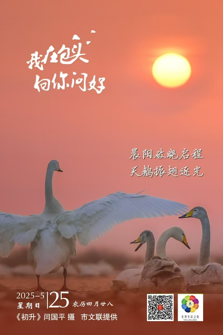 微信图片_20250524214319
