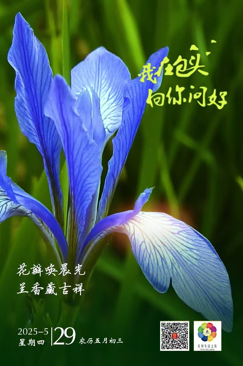 微信图片_20250529054229
