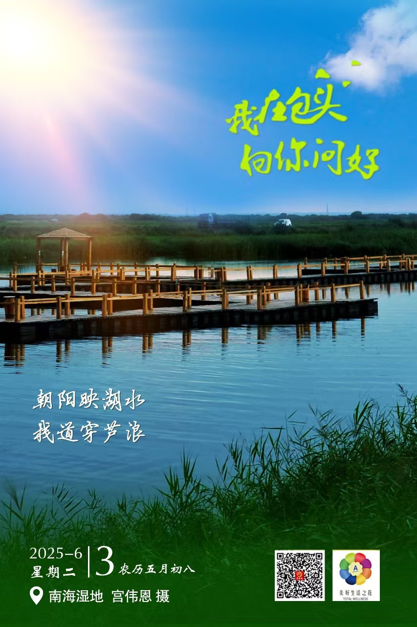 6e85f111fb23040ed61418ff9a55ecc