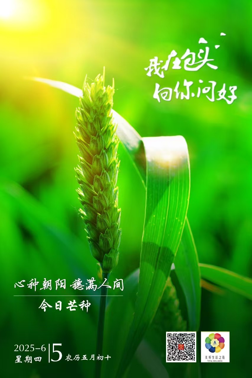 微信图片_