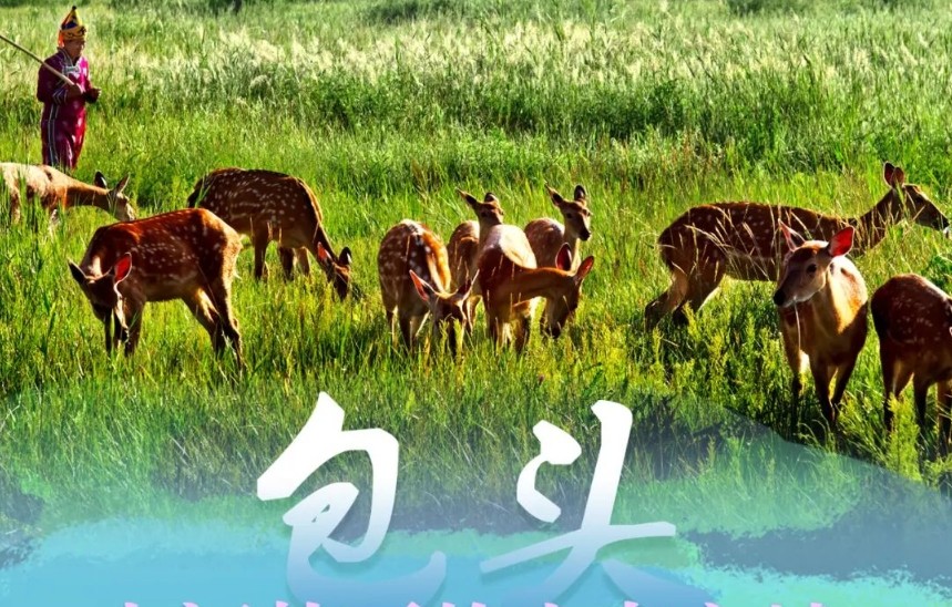 微信截图_20250428110339