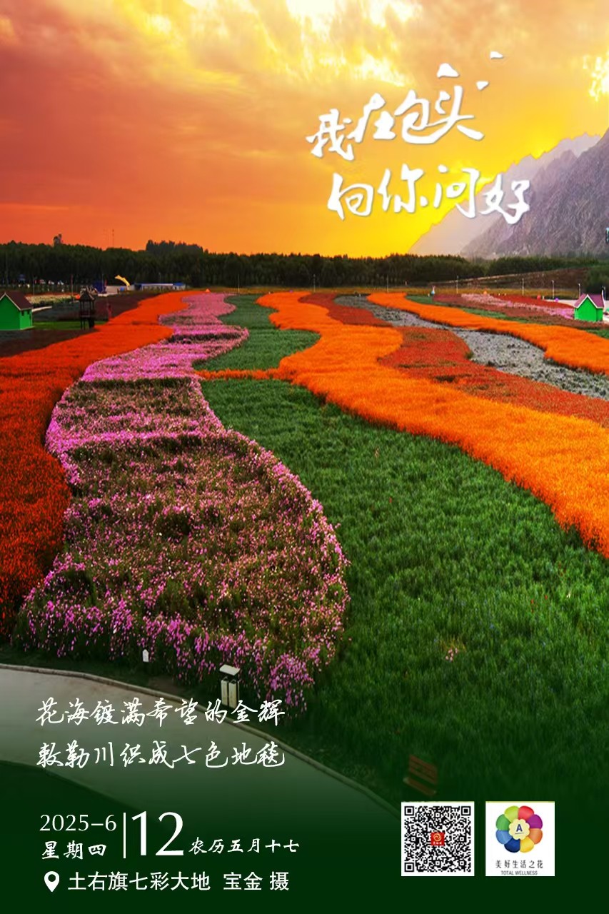微信图片_20250611221718
