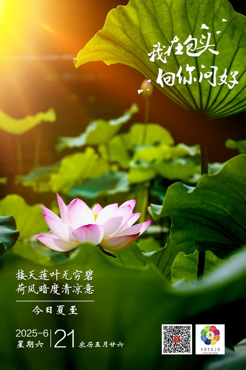 微信图片_20250620212423