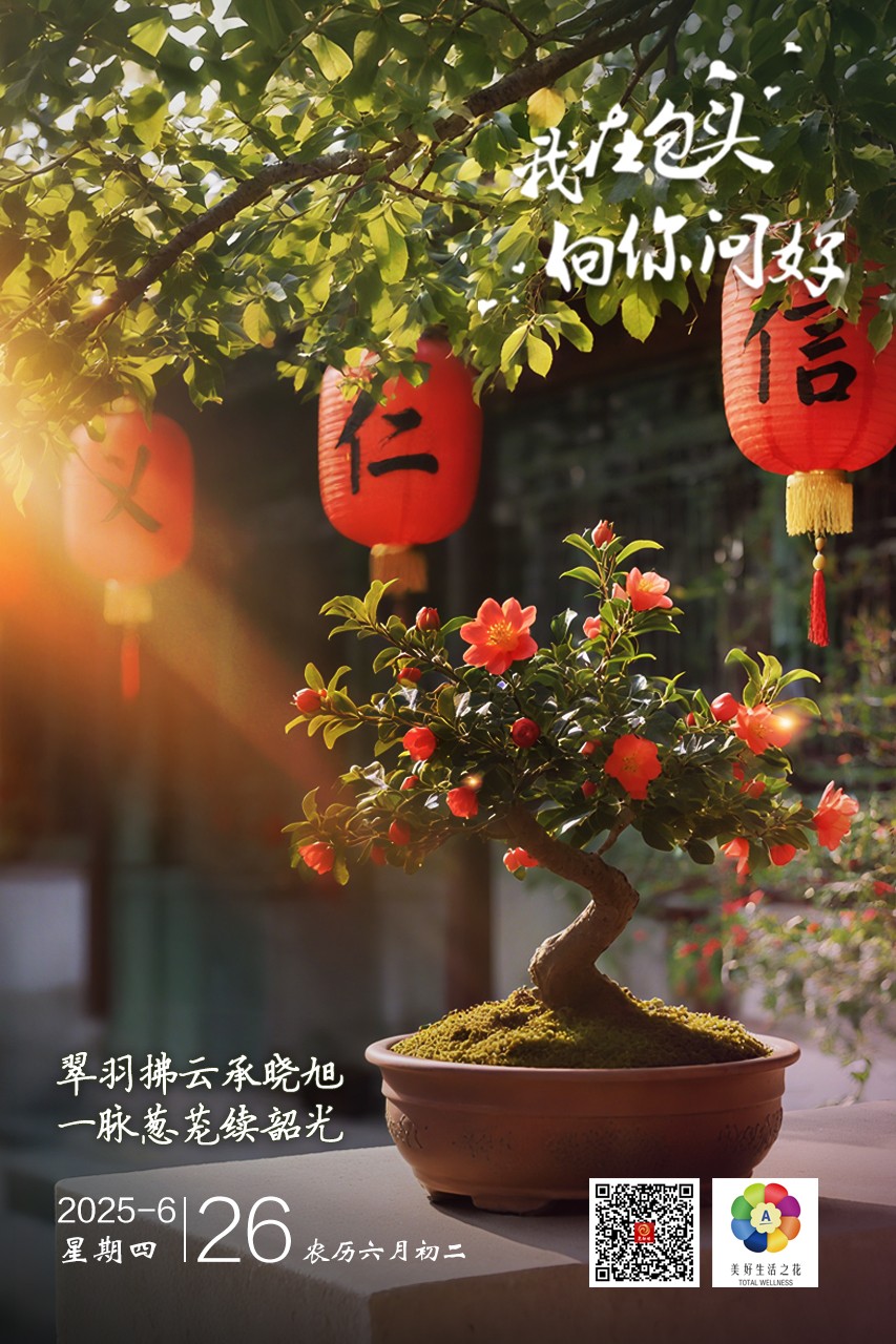 微信图片_20250625203123