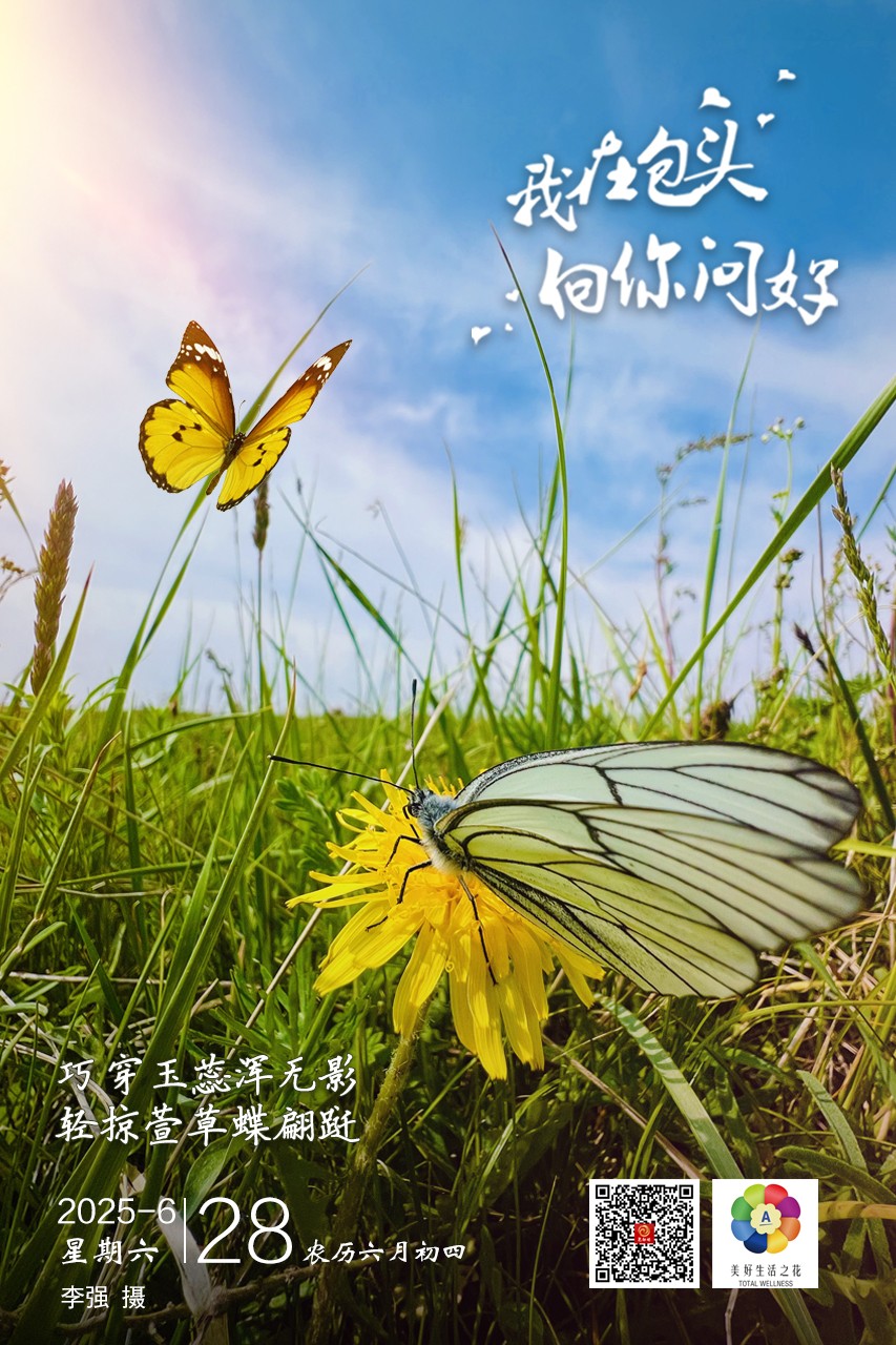 微信图片_20250628000813
