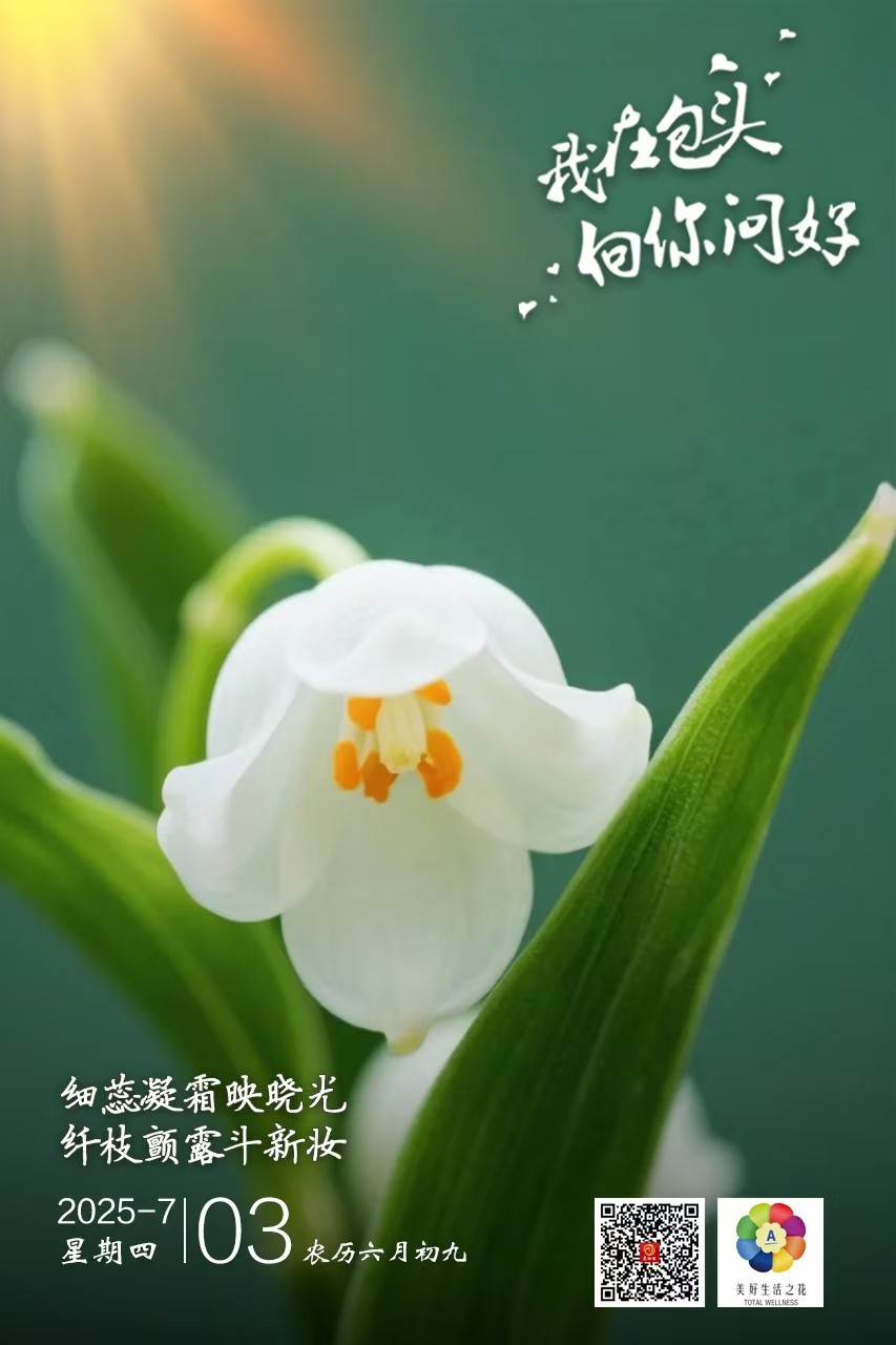 微信图片_20250702213821
