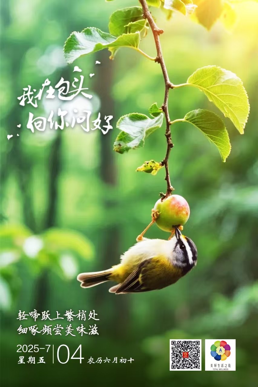 微信图片_20250703231530