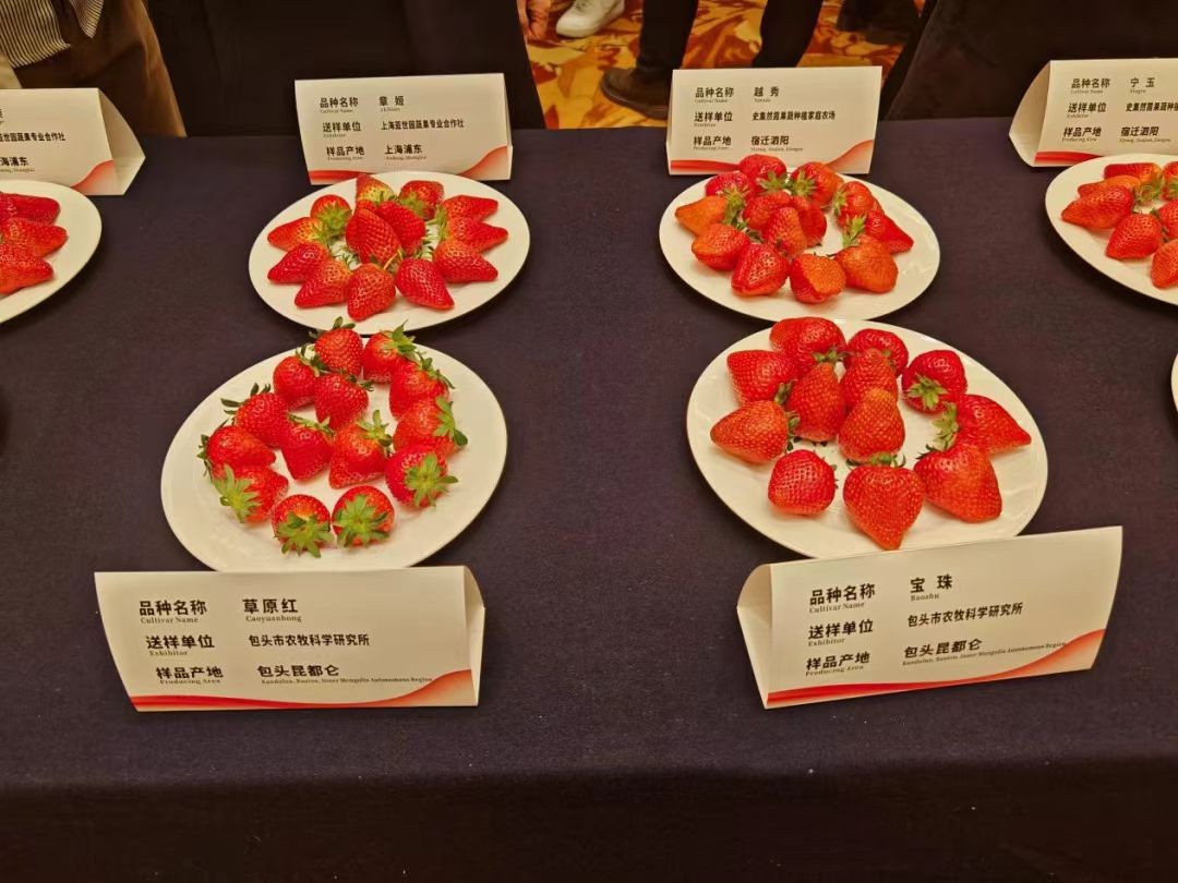 微信图片_20250710200457