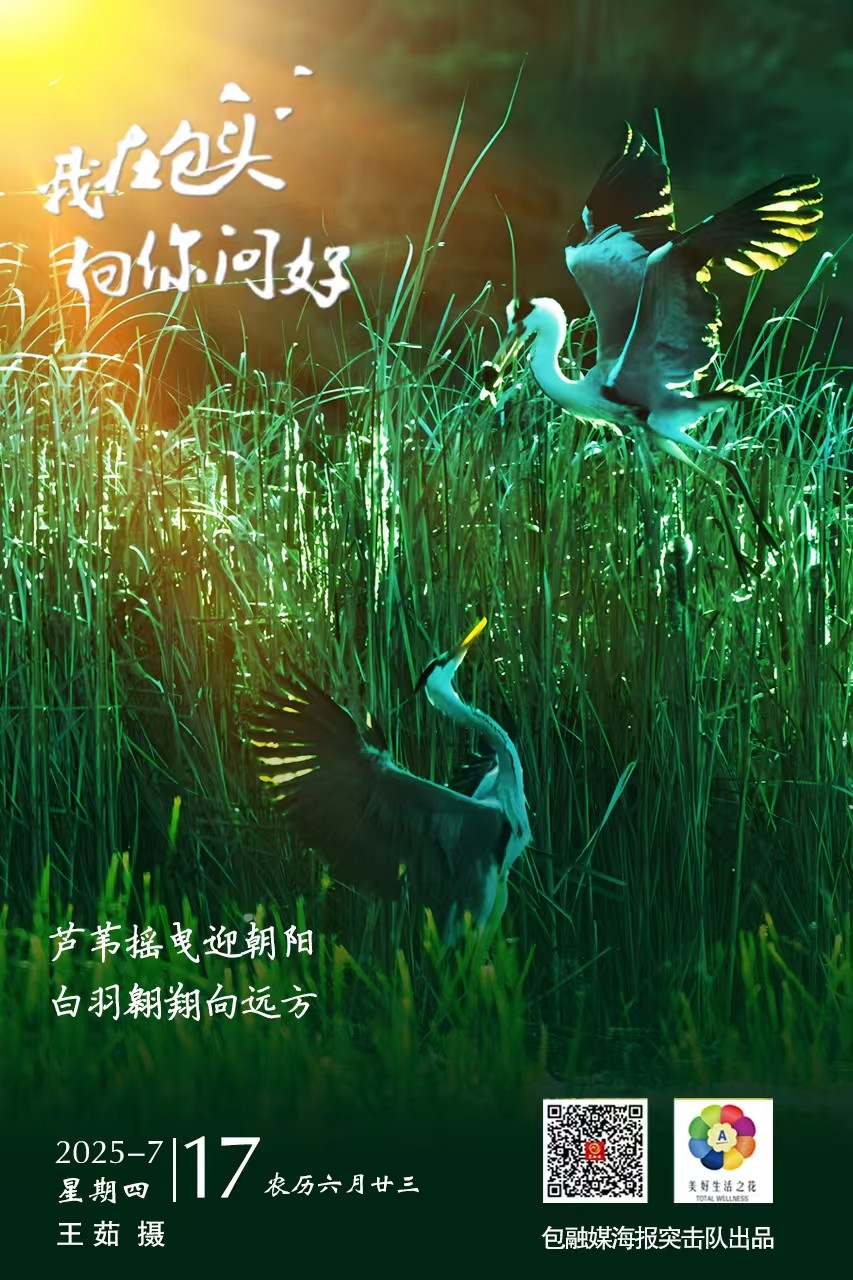 微信图片_20250716221326