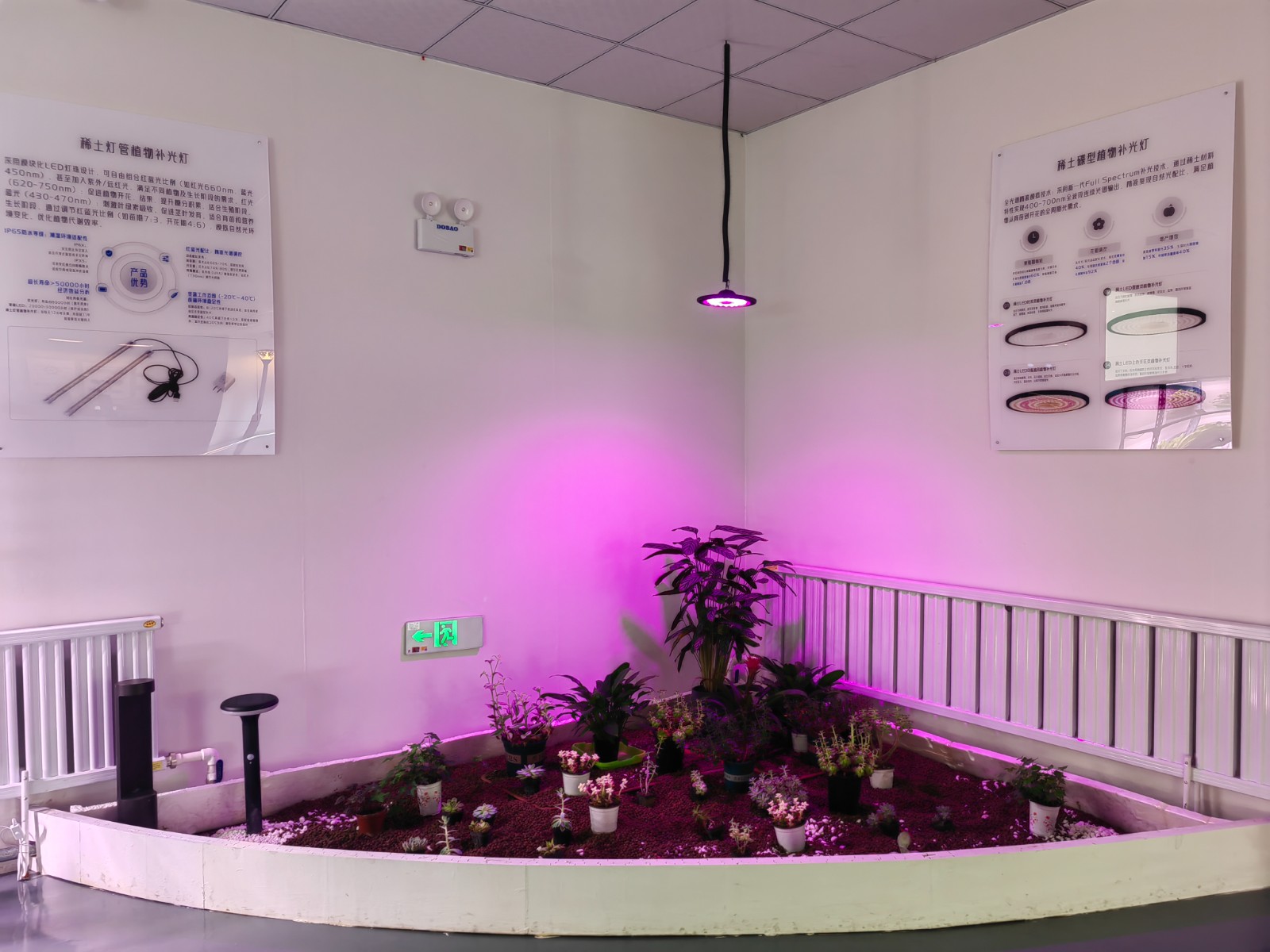 稀土植物补光灯(5086234)-20250716081258