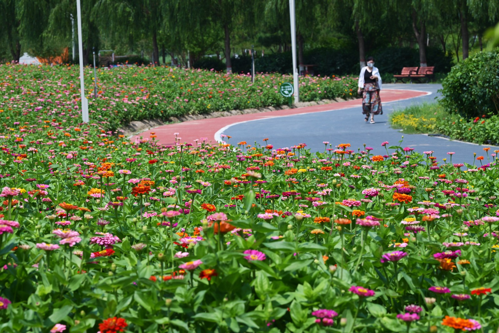 繁花织锦芳满园(5183058)-20250729181441