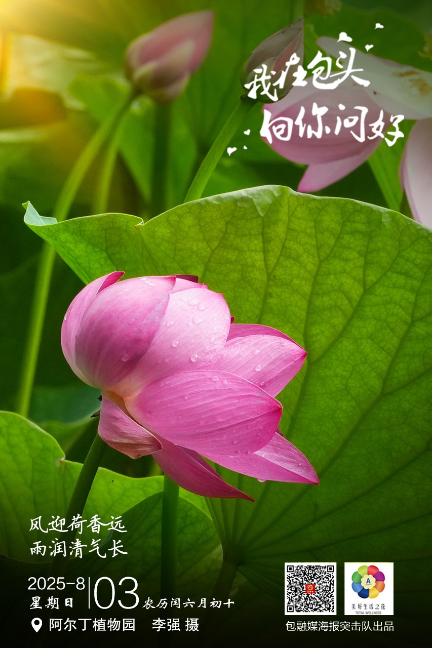微信图片_2025-08-02_205422_443