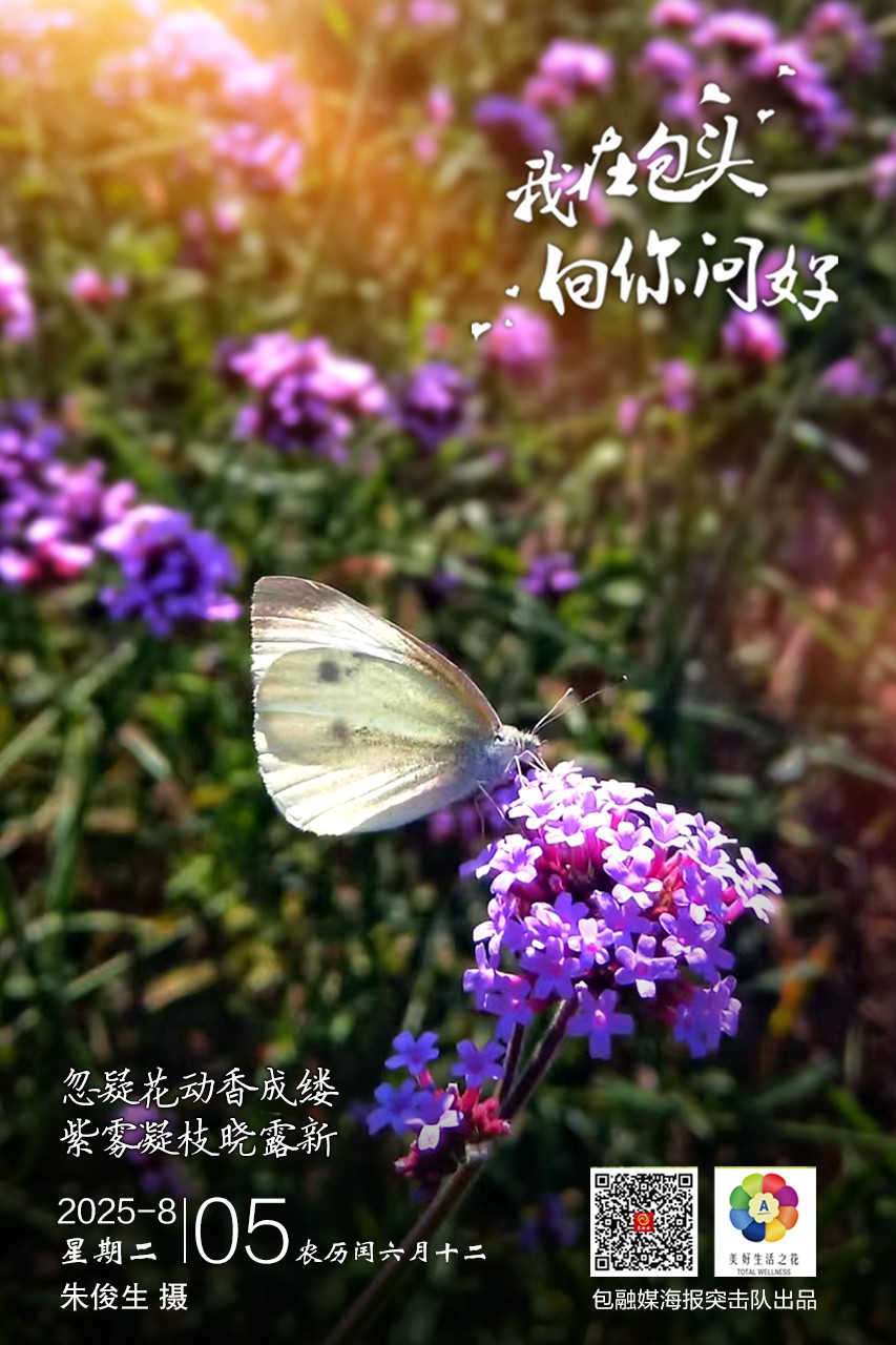 微信图片_2025-08-04_203836_607