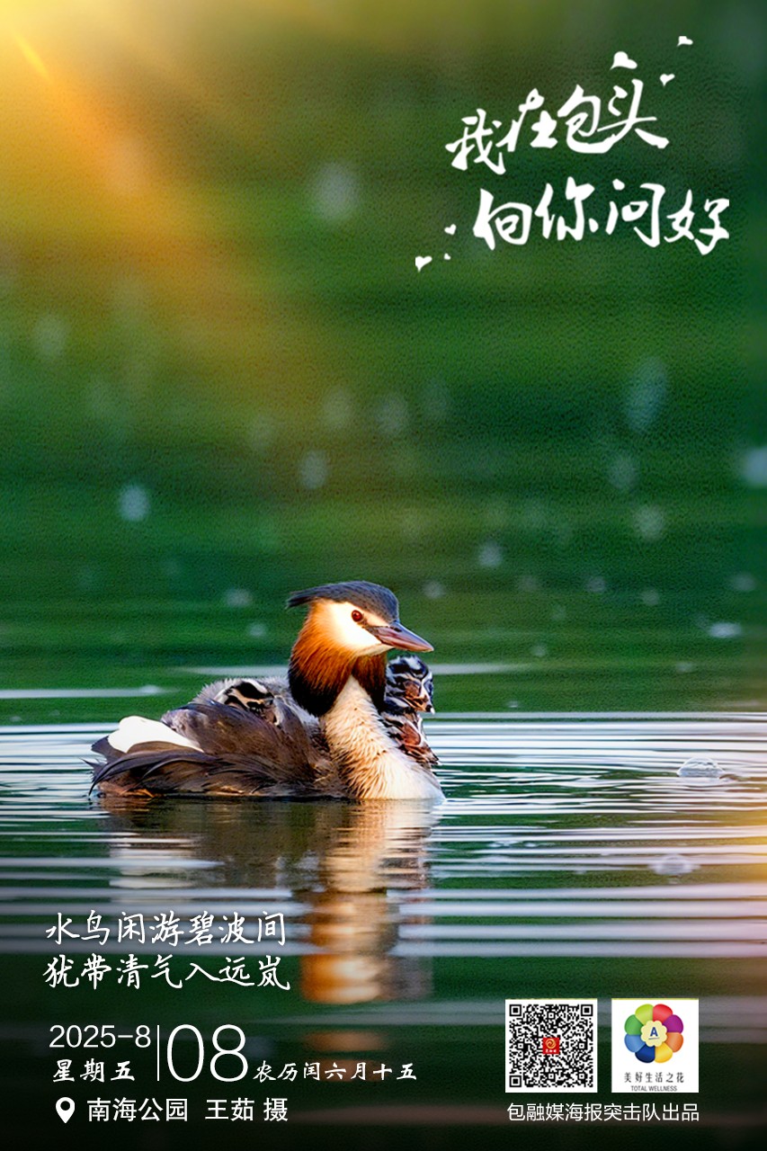 微信图片_20250807163136