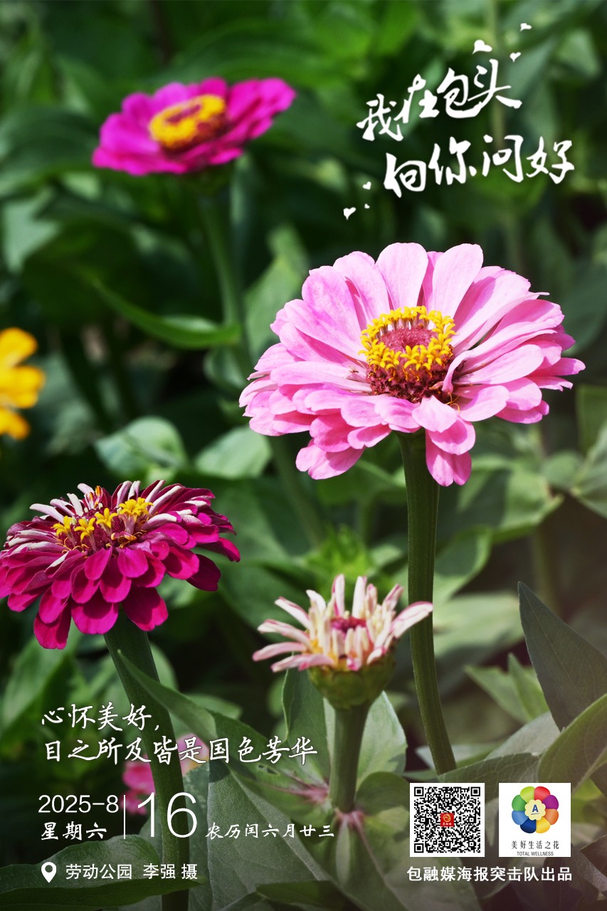 微信图片_2025-08-15_211034_567
