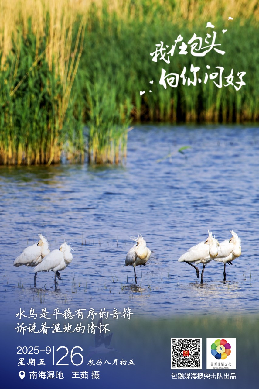 微信图片_20250925235914_55_170