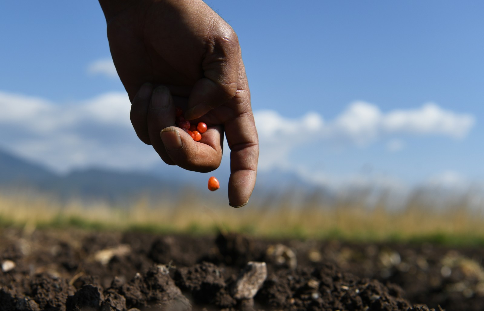 谷雨将至农事忙（3）#(1549926)-20251009172040