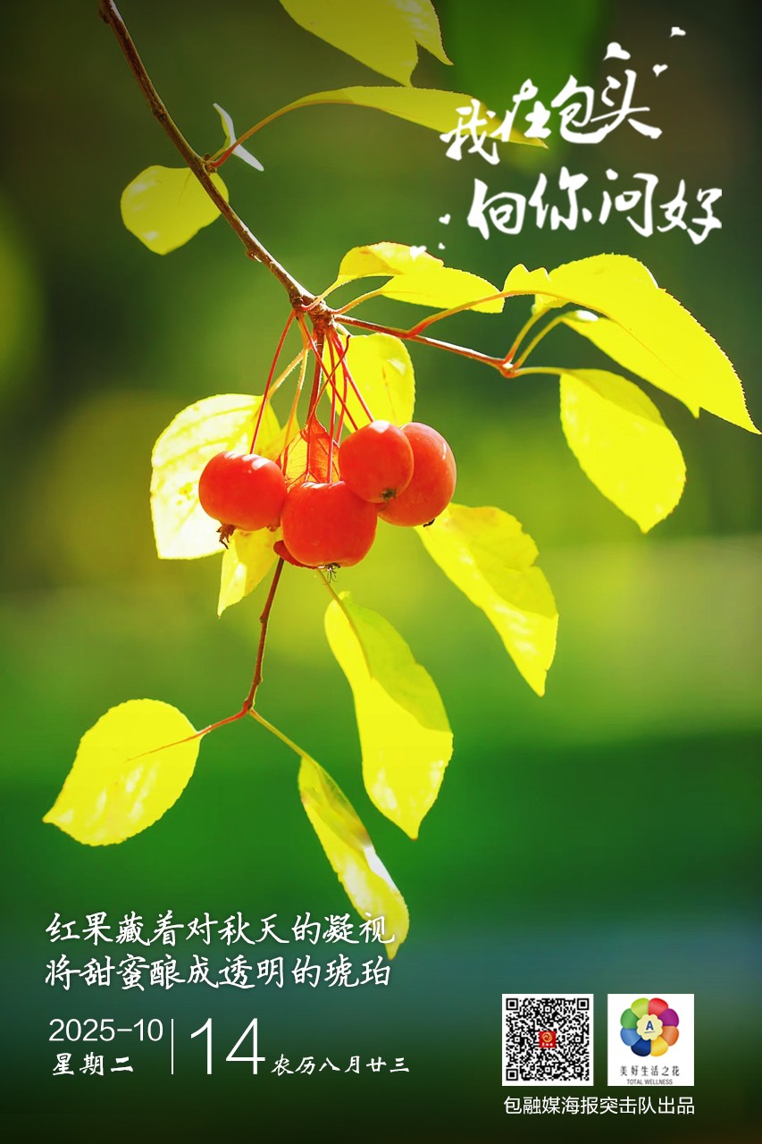 微信图片_20251013220851_96_37