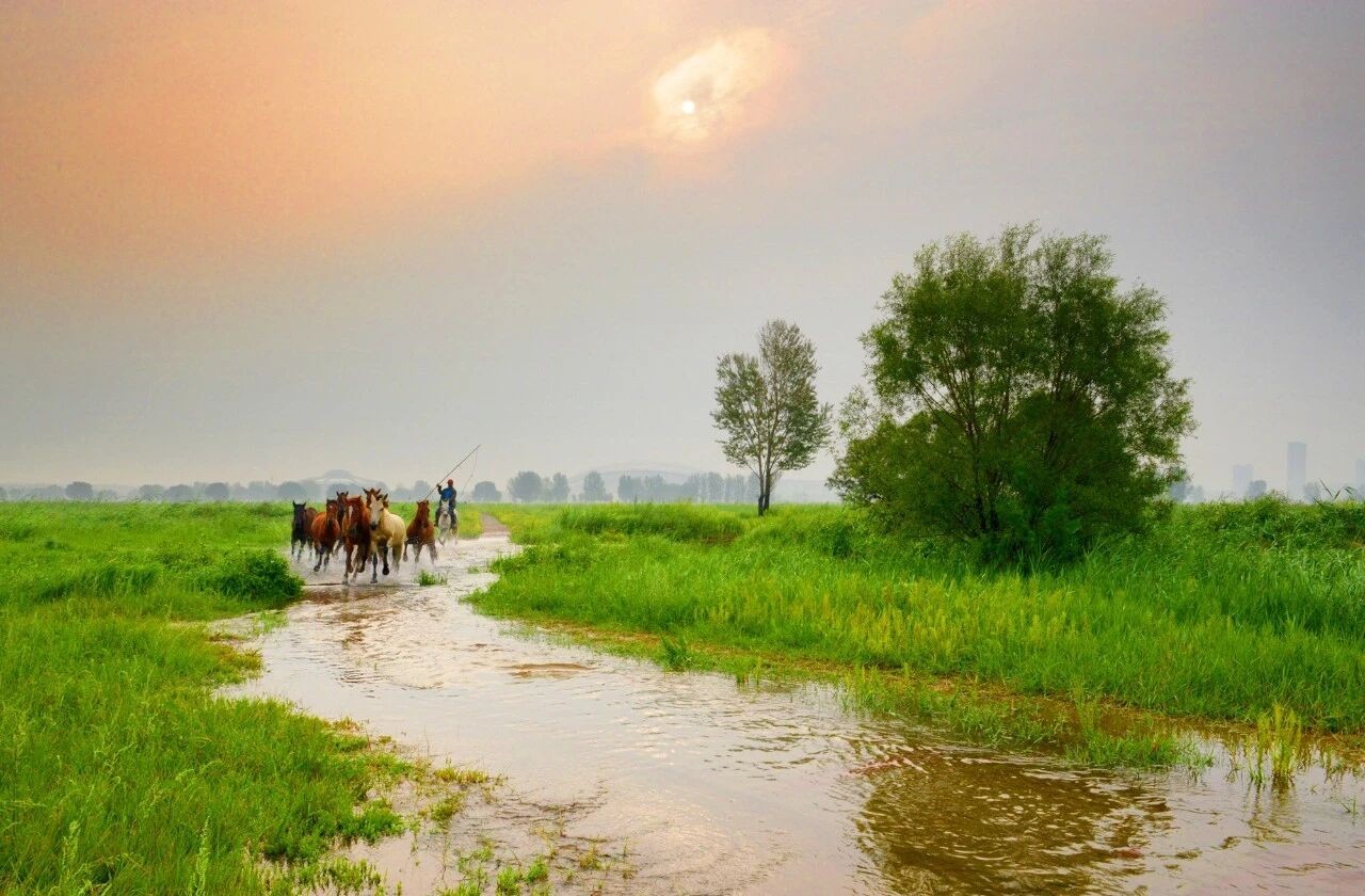 微信图片_2025-10-17_091207_450