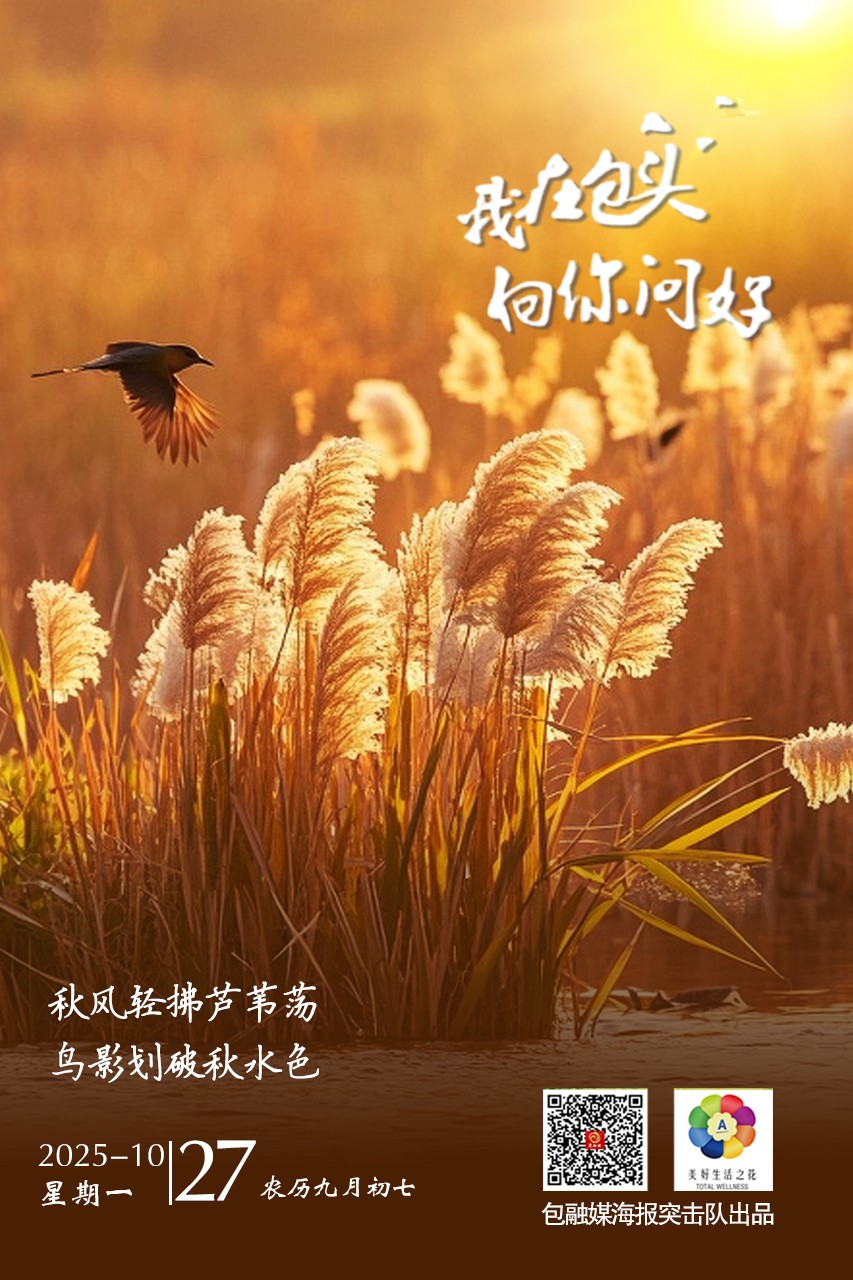 d966c90509c75a3280f2c6b0af909525