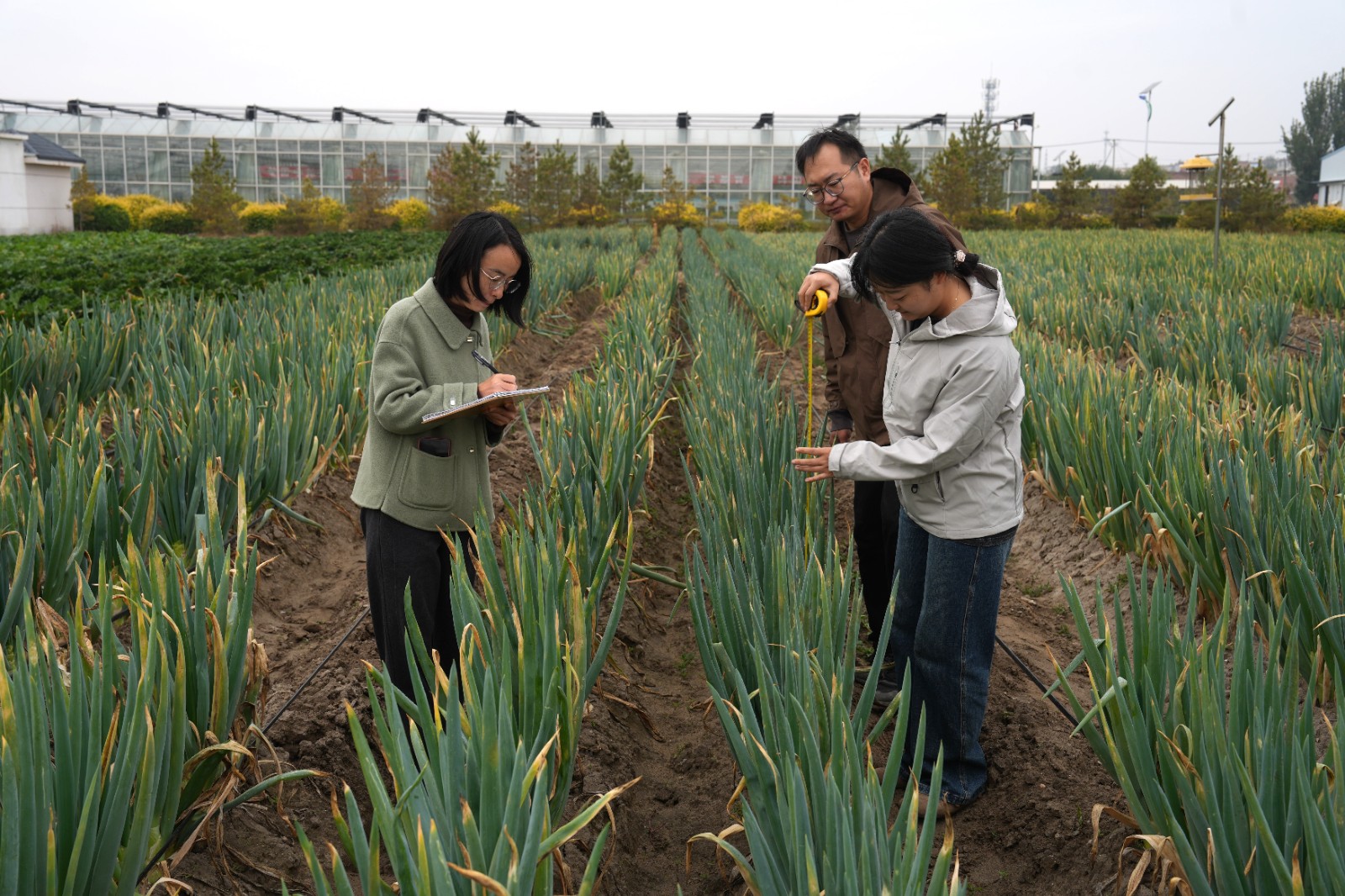 二条图2(5768246)-20251029172756