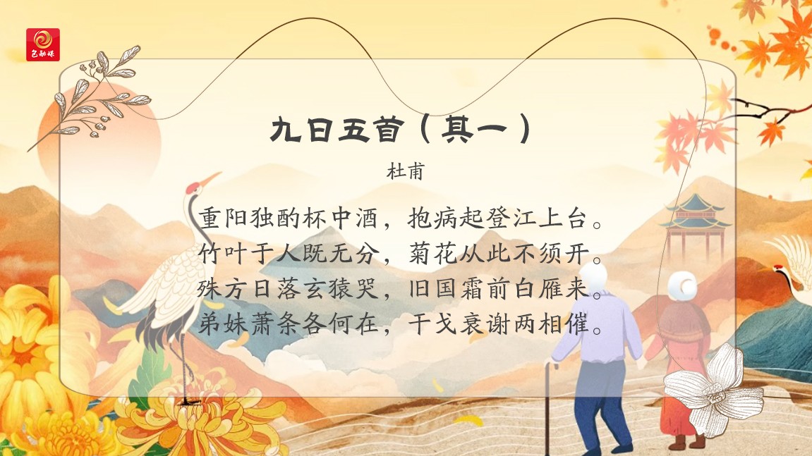 9a33b076caba6fb187e6c3f6e6109194