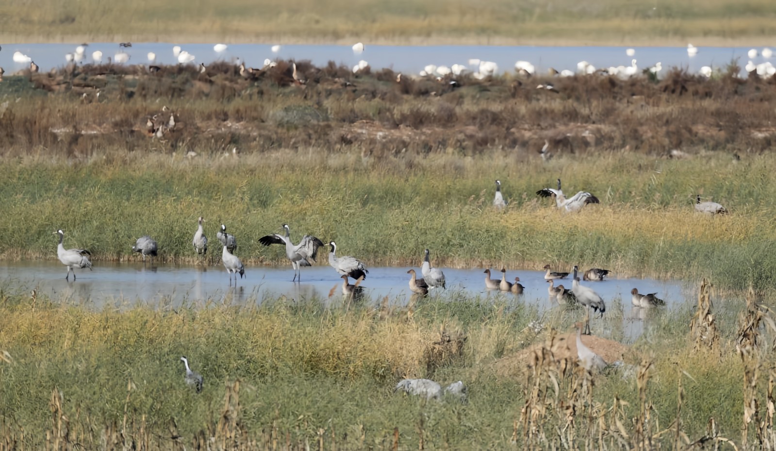 2(5794257)-20251103172658