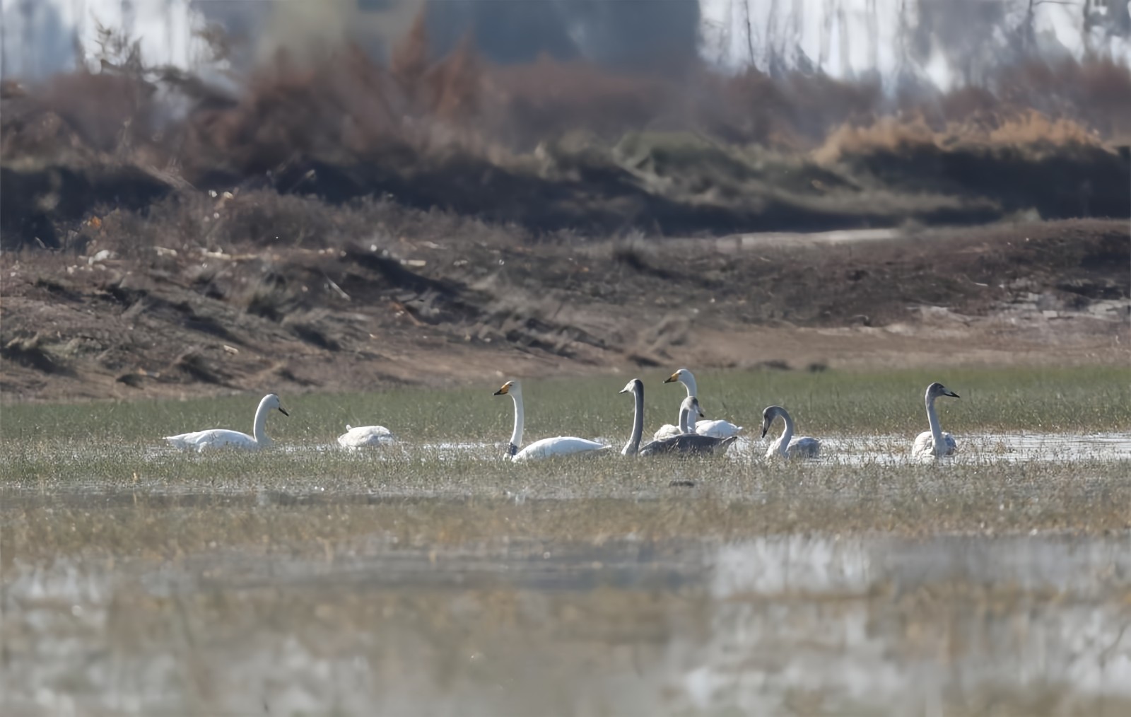 1(5794254)-20251103172703