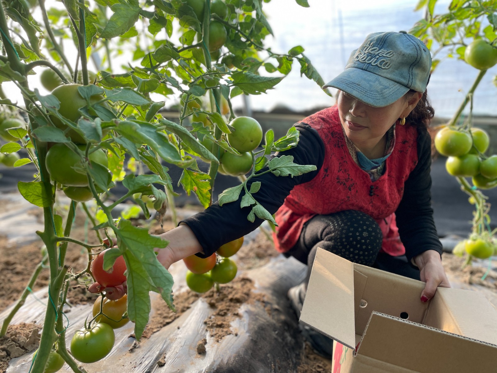 头条图(5801965)-20251104171022