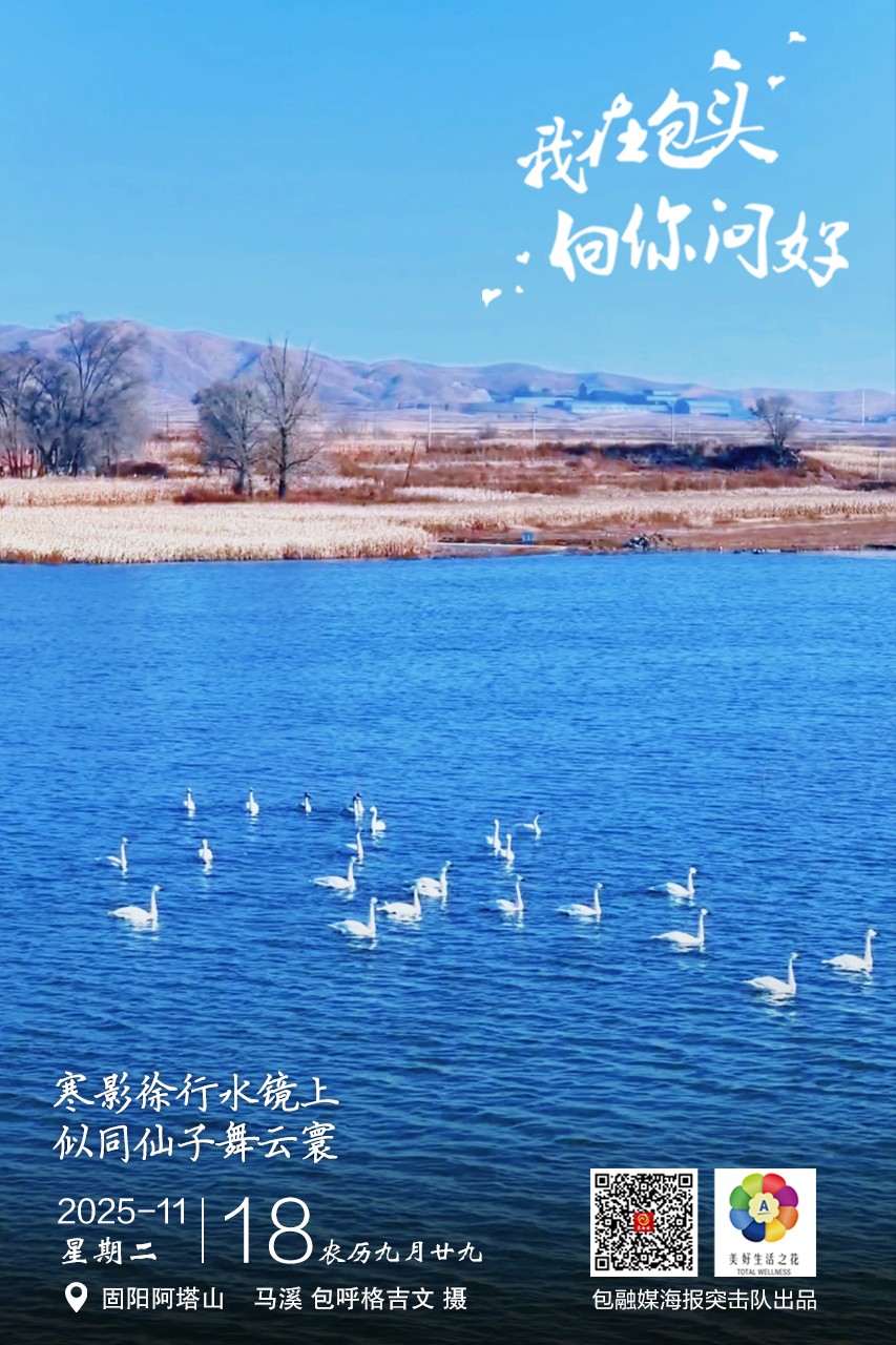 微信图片_20251117215108_257_16