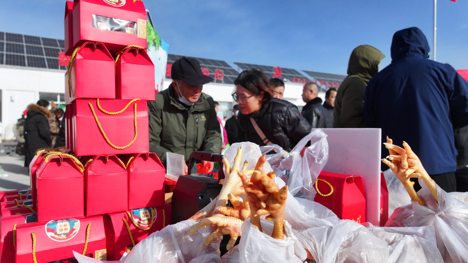 13(5894913)-20251117164737