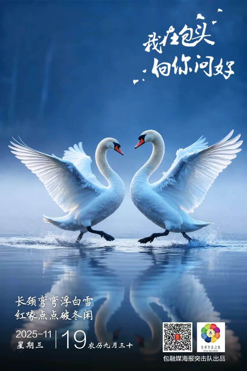 352ead0328142fa689de0a245ba56079