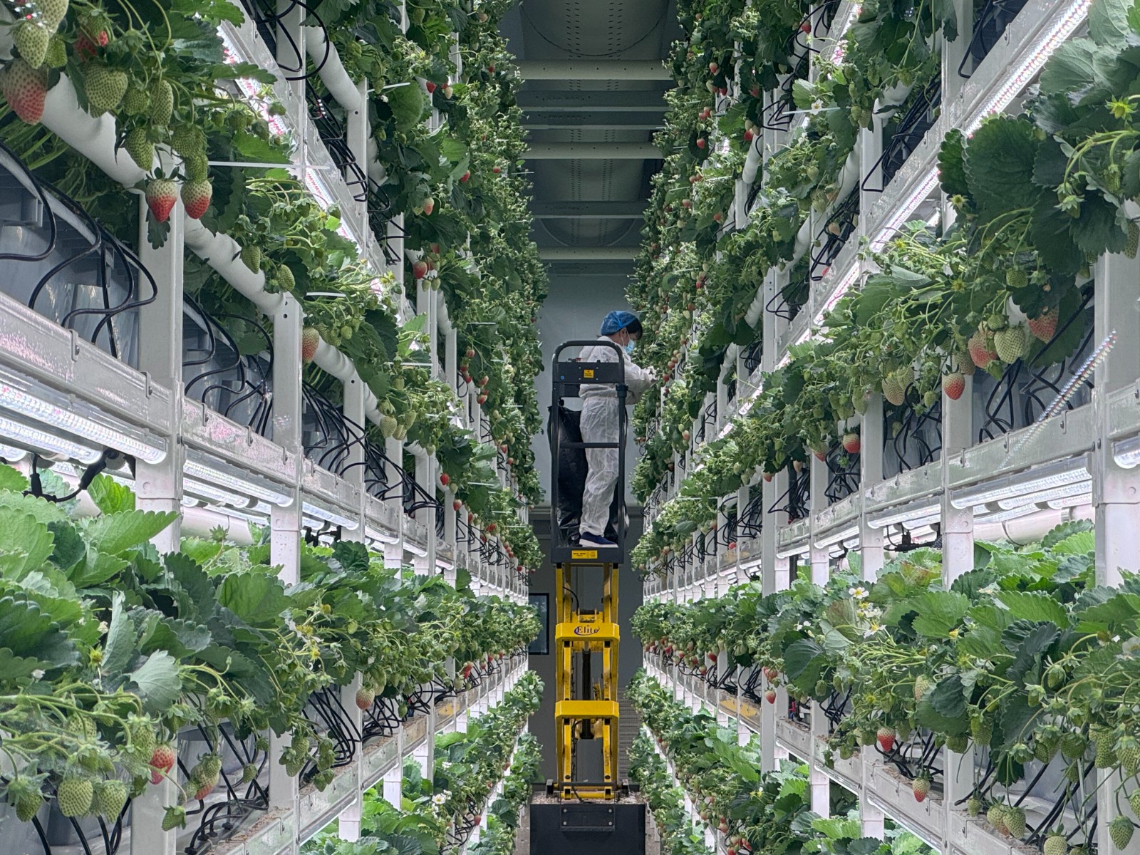 1(5904766)-20251118164206