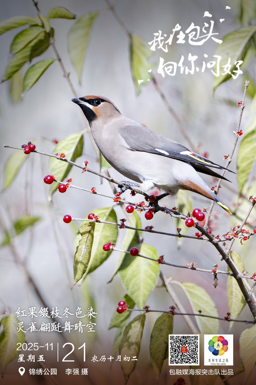 微信图片_20251120190926_69_70